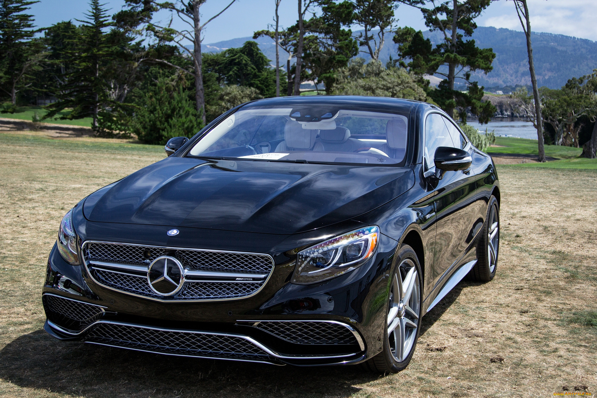 2015 mercedes-benz s65 amg coupe, , mercedes-benz, 